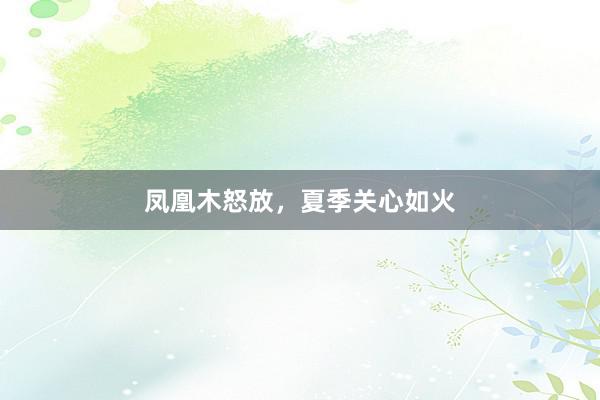凤凰木怒放，夏季关心如火